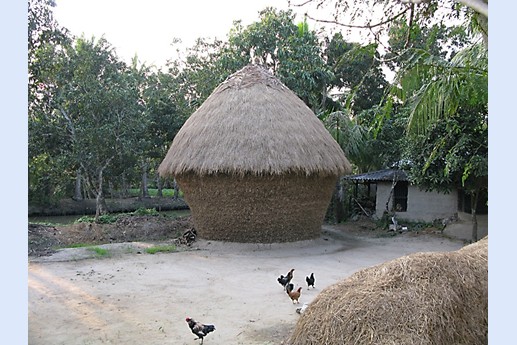 Viaggio in India 2008 - Sunderbans